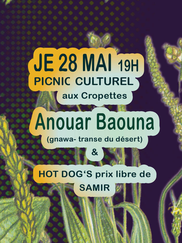 flyer du pic nic culturel