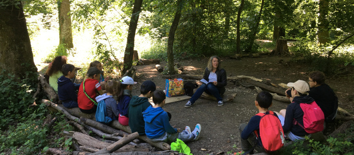 forêt enfants