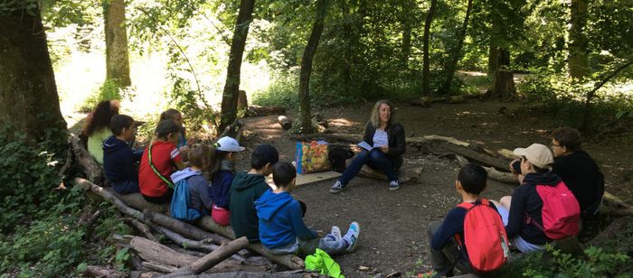 forêt enfants
