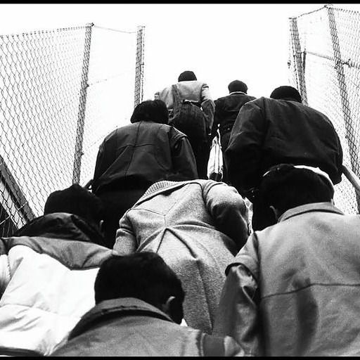 Des personnes de dos montent des escaliers