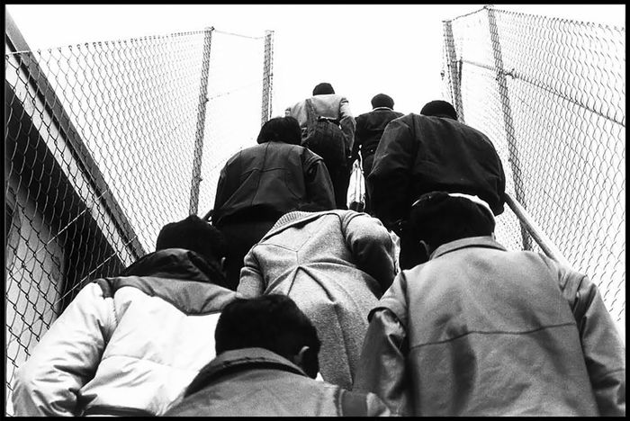 personnes de dos montée d'escalier en n/b
