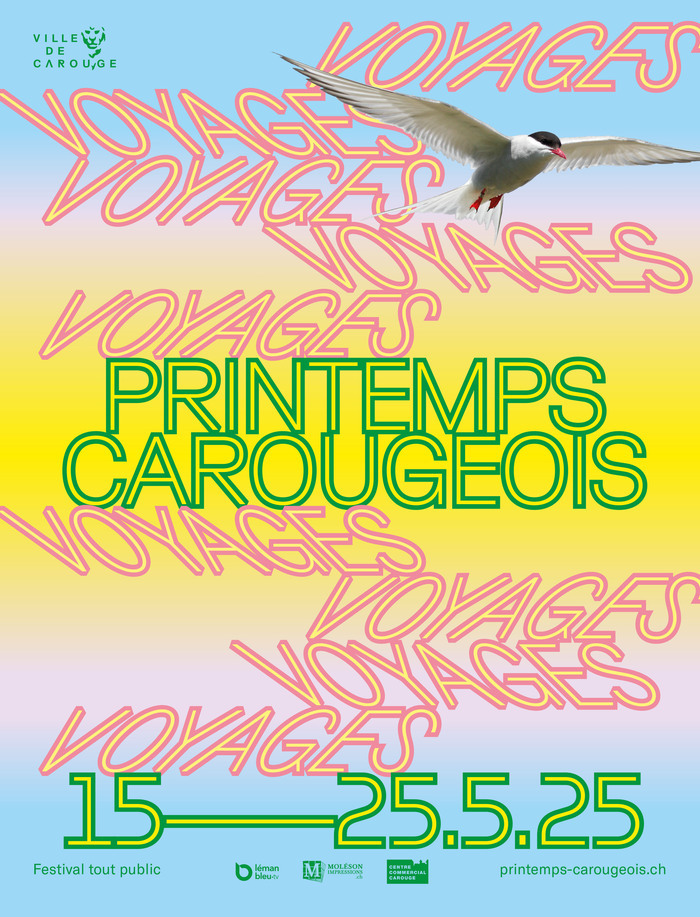 Ville de Carouge Affiche du festival avec dégradé bleu et orange et mouette dans le ciel