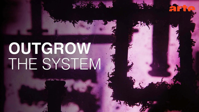 Outgrow the System