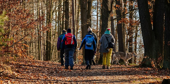 Manuel Medicine personnes qui se promènent dans la forêt