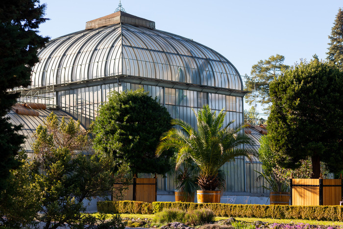 Le Jardin d'hiver