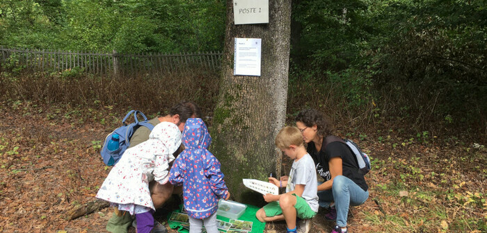rallye nature famille