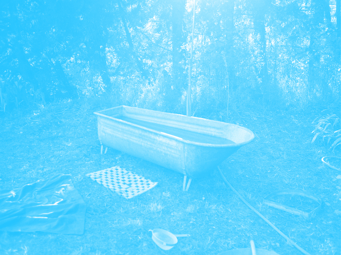 C'est la photo d'une baignoire abandonnée dans une fôret. La photo a un filtre de couleur.