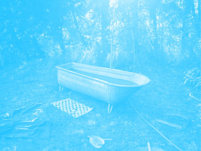 C'est la photo d'une baignoire abandonnée dans une fôret. La photo a un filtre de couleur.