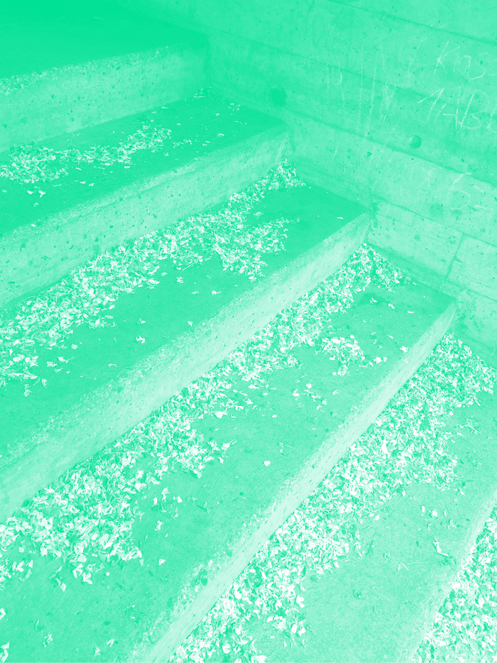 Des escaliers remplies de petales de fleurs tombés. La photo a un filtre de couleur.
