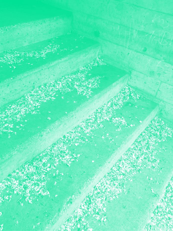 Des escaliers remplies de petales de fleurs tombés. La photo a un filtre de couleur.