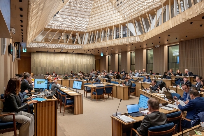 Séance du Conseil municipal de la Ville de Genève