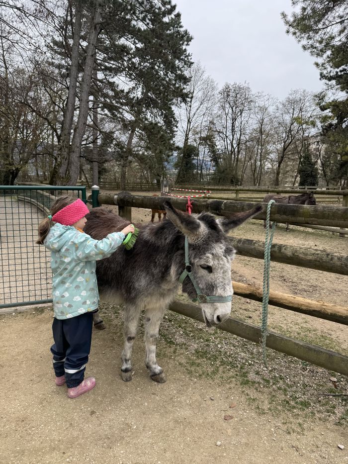 enfant soin âne