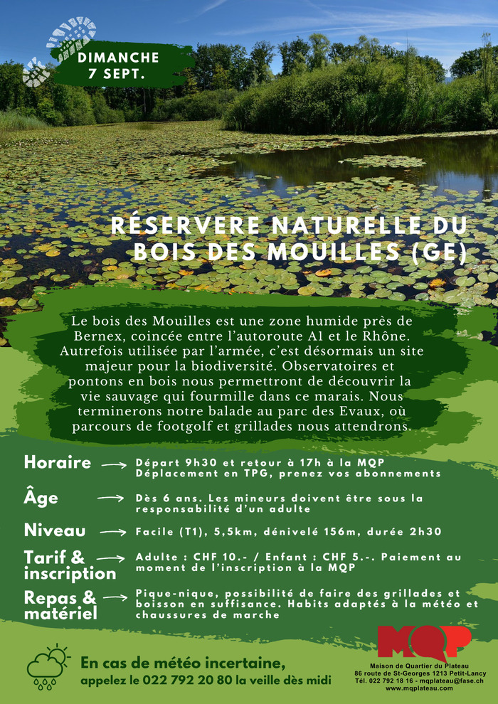 Antonin Kummer Marais du bois des Mouilles