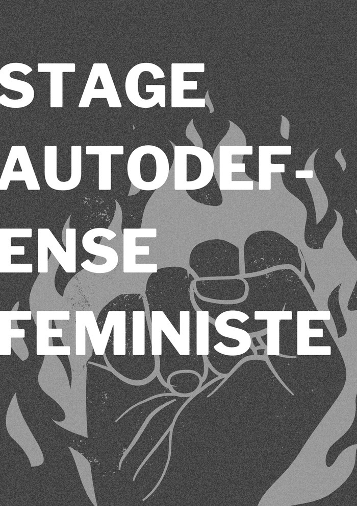 Sur fond noir, une main en forme de poing entouré de flamme. Le texte "Stage autodéfense féministe" est écrit en blanc par dessus