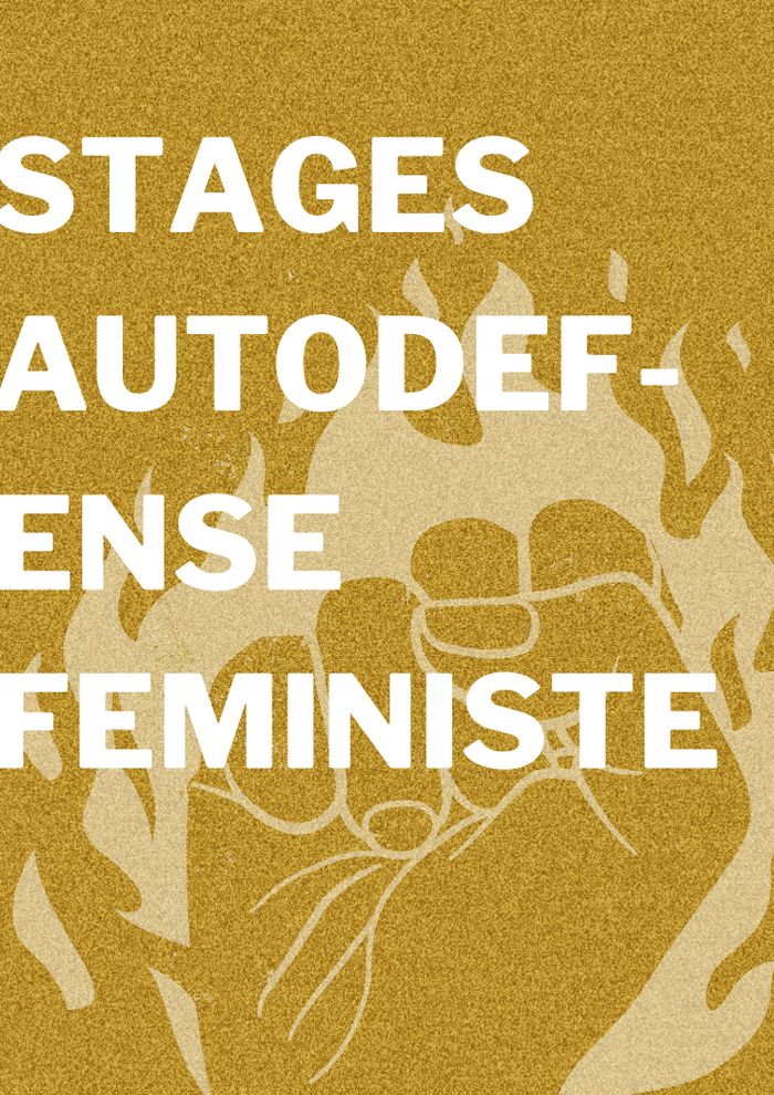 Fond doré, une main entourée de flammes en transparence. Le texte "stage autodéfense féministe" est écrit en majuscules par dessus.
