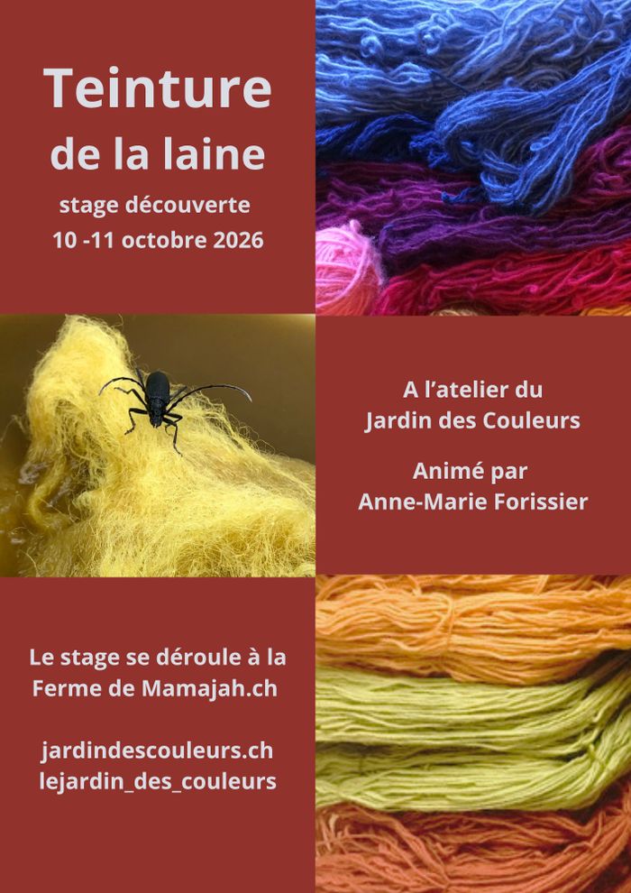 de la laine colorée avec des plantes du jardin, sur la laine jaune un insecte