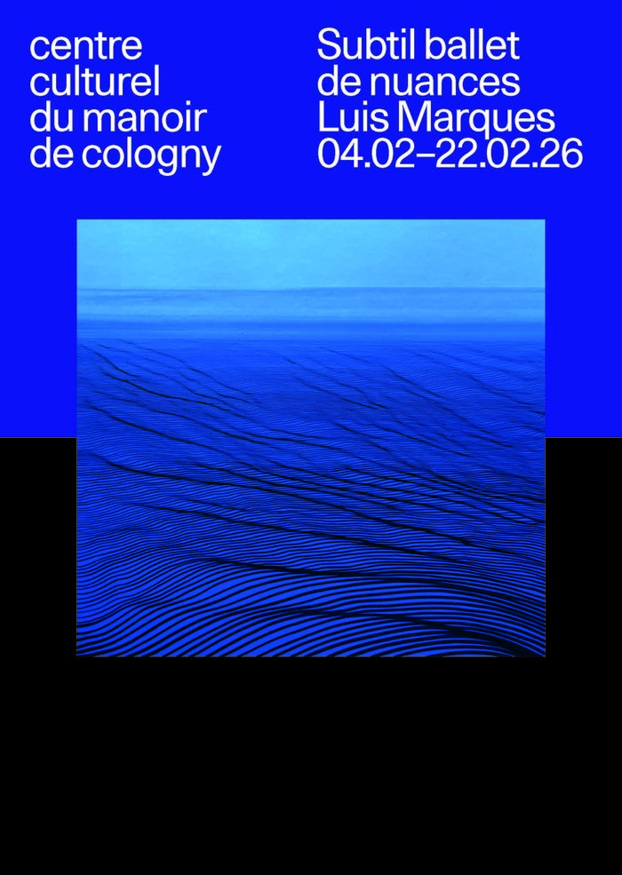 Affiche de l'exposition avec une oeuvre sur un fond bi-color