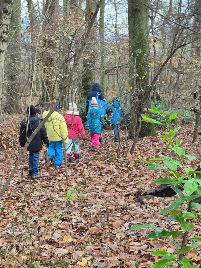 enfants forêt