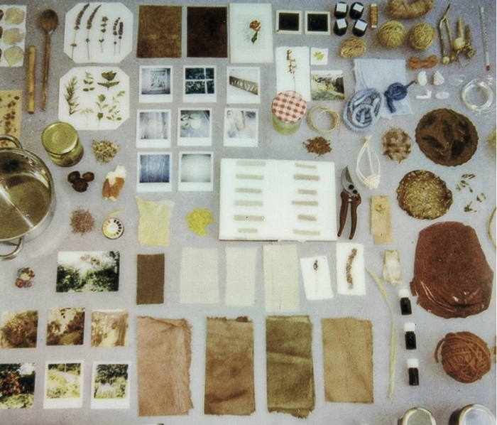 Archives personnelles d'Ophélie Selz