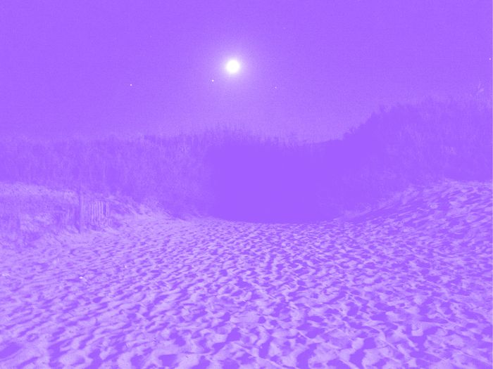 Une plage on voit le sable et la lune avec des arbres au fond. La photo a un filtre couleur.
