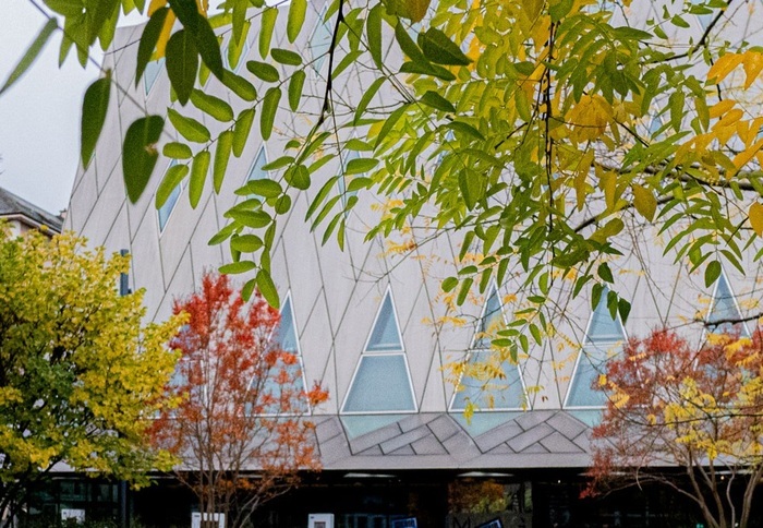 Fleurs blanche du jardin du MEG au premier plan. On voit le bâtiment du MEG au deuxième plan. Vue printanière du Jardin.
