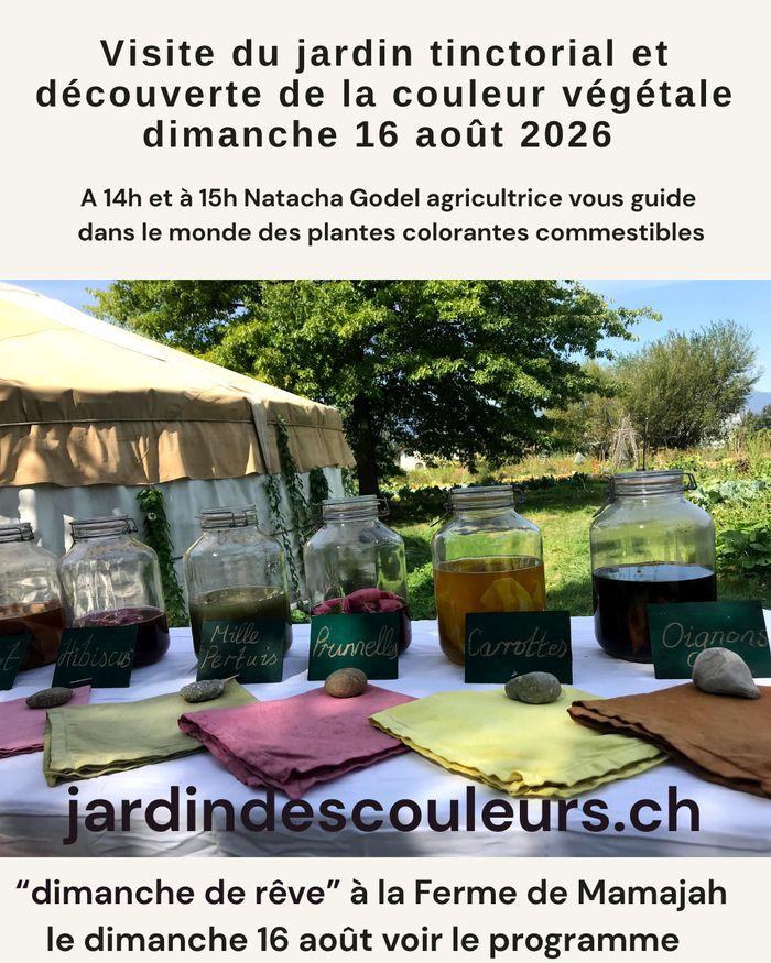 un jardin une table une yourte des pots avec du liquide coloré des tissus colorés