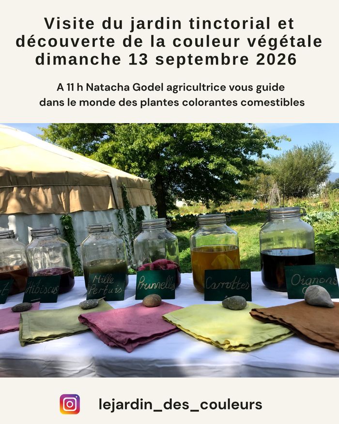 un jardin, une yourte, des bocaux et des tissu colorés avec les légumes du potager