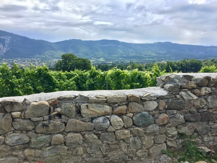 DR vue Plan-les-Ouates