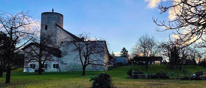 vue de la tour de Saconnex-d'Arve