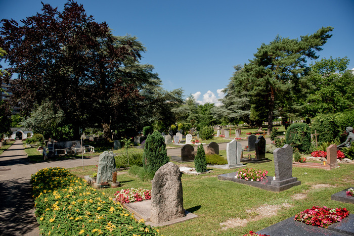 DR - Ville de Genève\Delphine Schacher Photo du cimetière du Petit-Saconnex