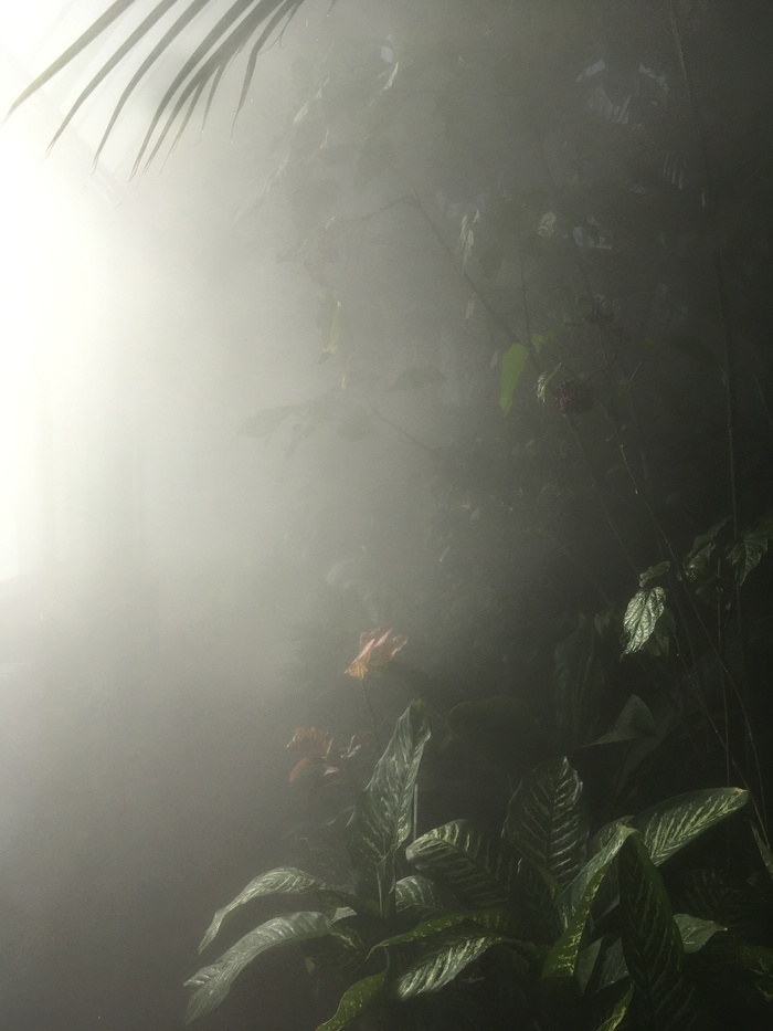 CJBG Fog système, Jardin d’hiver