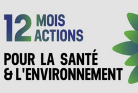 12 mois 12 actions