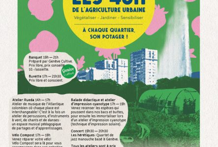 paysage genevois tramé en couleurs vives avec les informations de l'événement