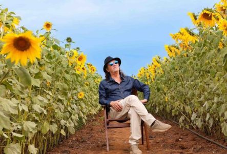 Photo de l'artiste assis sur une chaise dans un champ de tournesols