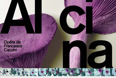 Affiche du concert du dimanche n°4