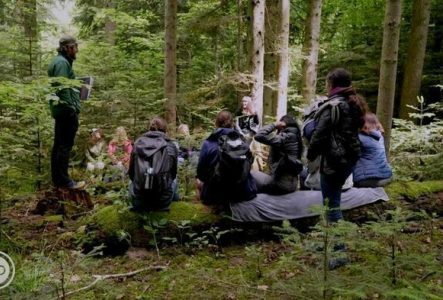 Gregory Collomb Apercu d'un atelier biomimetisme dans les bois