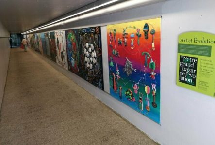 Illustration de l'événement