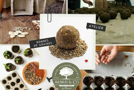 Arbres & Co Genève Atelier pour réaliser des boules de terre avec des graines, appelés bombes à graines