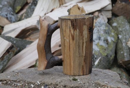 un bout de bois en forme de Y.