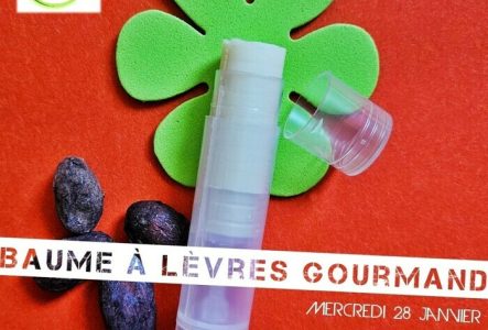 baume à lèvres naturel