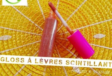 L'Art du Cosmétique au Naturel gloss naturel
