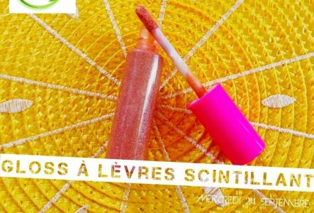 L'Art du Cosmétique au Naturel gloss naturel