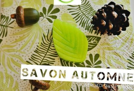 L'Art du Cosmétique au Naturel savon automne