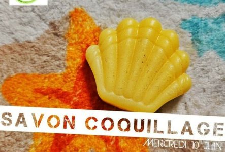 savon coquillage