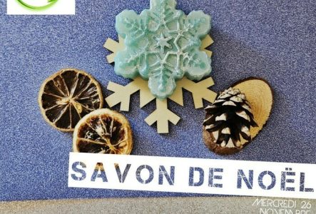 L'Art du Cosmétique au Naturel savon noël