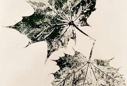 Carnet de tamponnage avec deux feuilles d'arbres