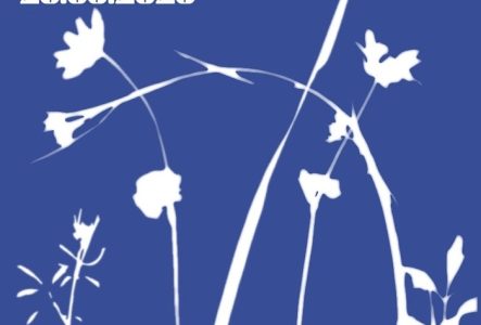 Valentine Clot Atelier de Cyanotype