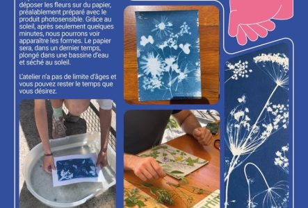 Cyanotype