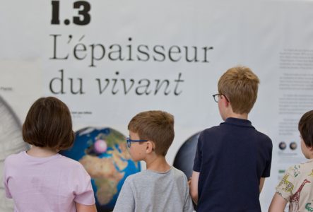 © DR Des enfants entrain de suivre un atelier de l'exposition "Devenir Jardinier planétaire. La Préséance du VIvant"