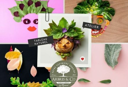 Arbres & Co Genève Assemblage des feuilles et graines pour créer un tableau unique